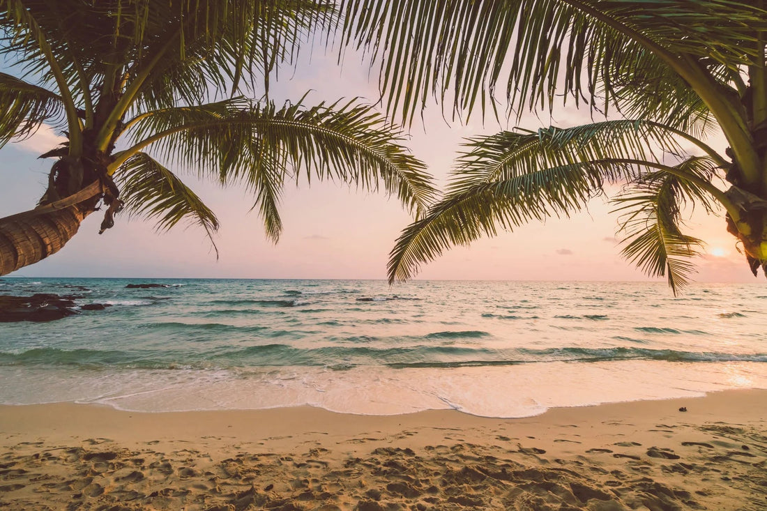 Tropical beach at sunset with palm trees framing the view