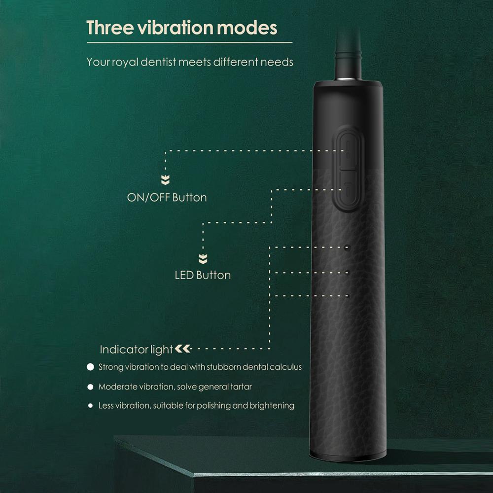 3-in-1 Dental Scaler – Ultrasonic Tooth Calculus Remover with Replaceable Heads