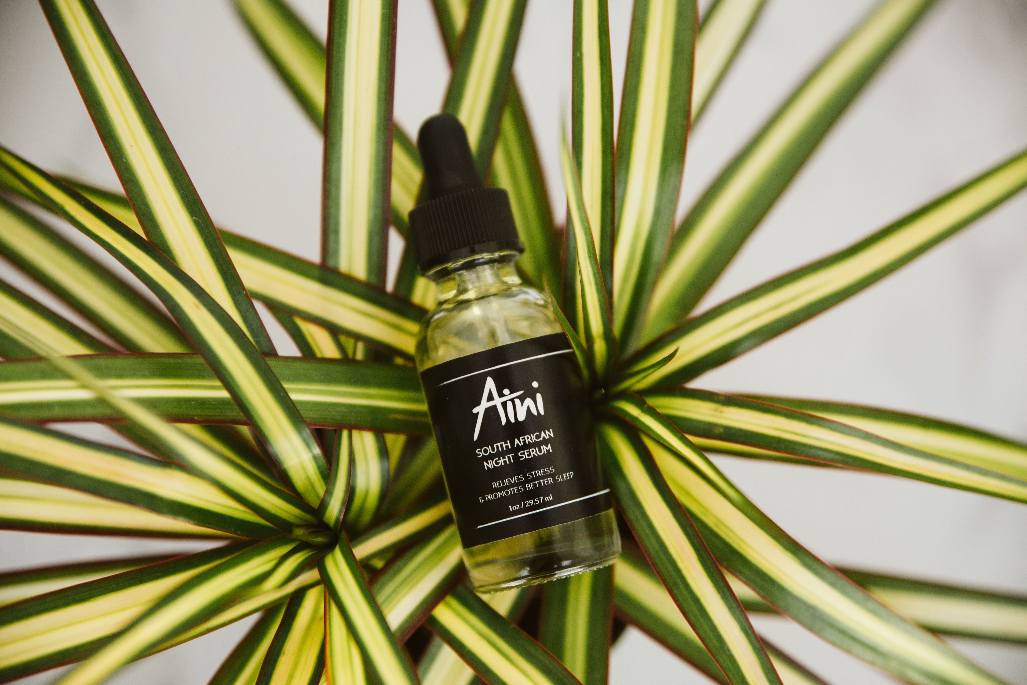 Aini South African Night Serum – Citrus-Infused Overnight Repair