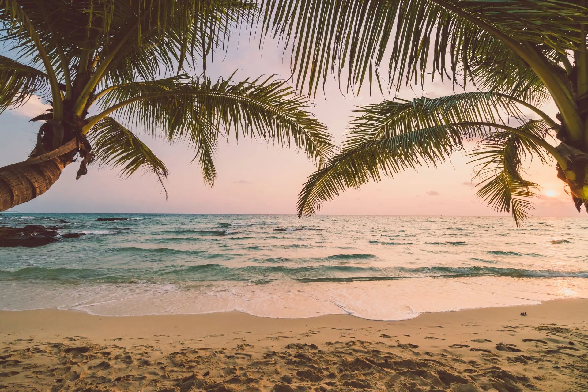 Tropical beach at sunset with palm trees framing the view.