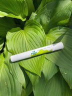 Don’t Scratch That Pen – Instant Itch Relief on leaves