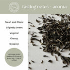 Jasmine Green Tea Mini Tube – Calm Energy (5 Sachets) tasting notes and aroma