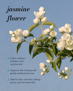 Jasmine Ritual Trial & Travel Kit - 3ozs