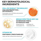 La Roche-Posay Anthelios Melt-In Milk Sunscreen SPF 100 ingredients chart for travel size essentials.