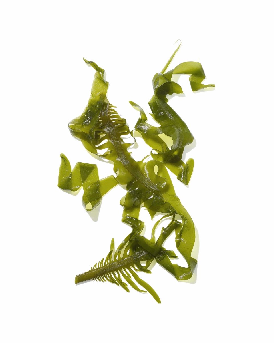 Mekabu Hydrating Travel Size Shampoo & Conditioner Set with seaweed