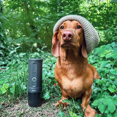 Dog wearing a knitted hat with a Oudin water bottle in a forest setting