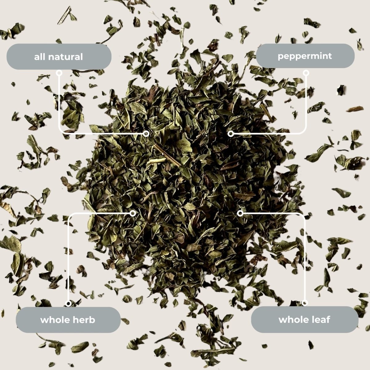 Peppermint Mini Tea Tube – Crisp Herbal Blend (5 Sachets) dried peppermint leaves